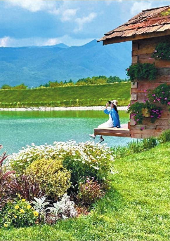 第一证券 丽江：花影摇曳处旅拍迎客来