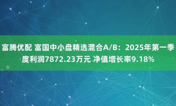 富腾优配 富国中小盘精选混合A/B：2025年第一季度利润7872.23万元 净值增长率9.18%