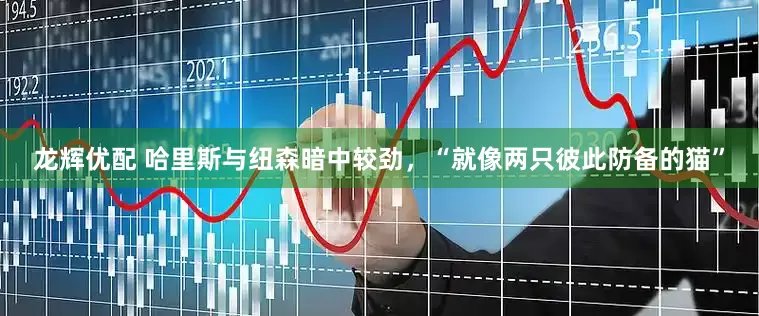 龙辉优配 哈里斯与纽森暗中较劲，“就像两只彼此防备的猫”